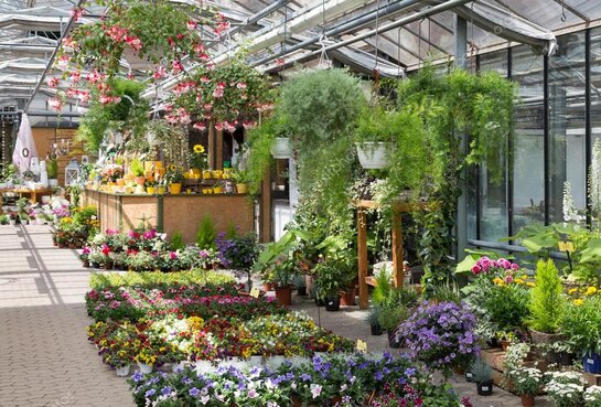 Garden center con area vendita curata e strumenti da giardinaggio esposti