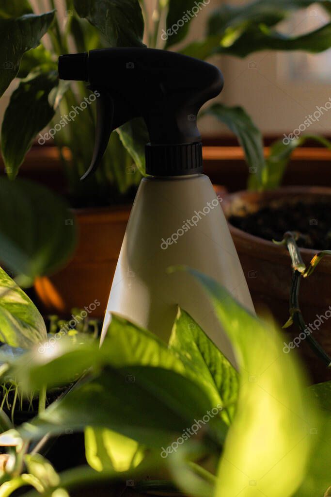 Rappresentanza del marchio Vallesi per prodotti da giardinaggio